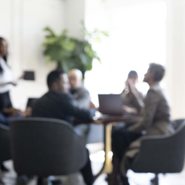 Dabs Business Consulting and Professional Mentoring and Coaching Services